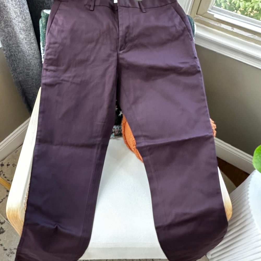 Banana Republic Men's Burgundy Chino Pants